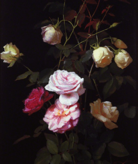 Lumière de roses 100x70 cm