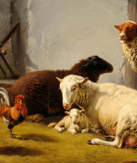 Moutons dans la bergerie 60 x 55 Cm