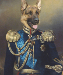 Portrait de chien Berger Allemand en officier 100x70 cm