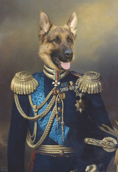 Portrait de chien Berger Allemand en officier 100x70 cm